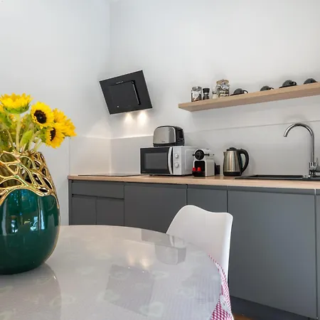 Jarosta & Spa, Ac -free Parking Zakopane